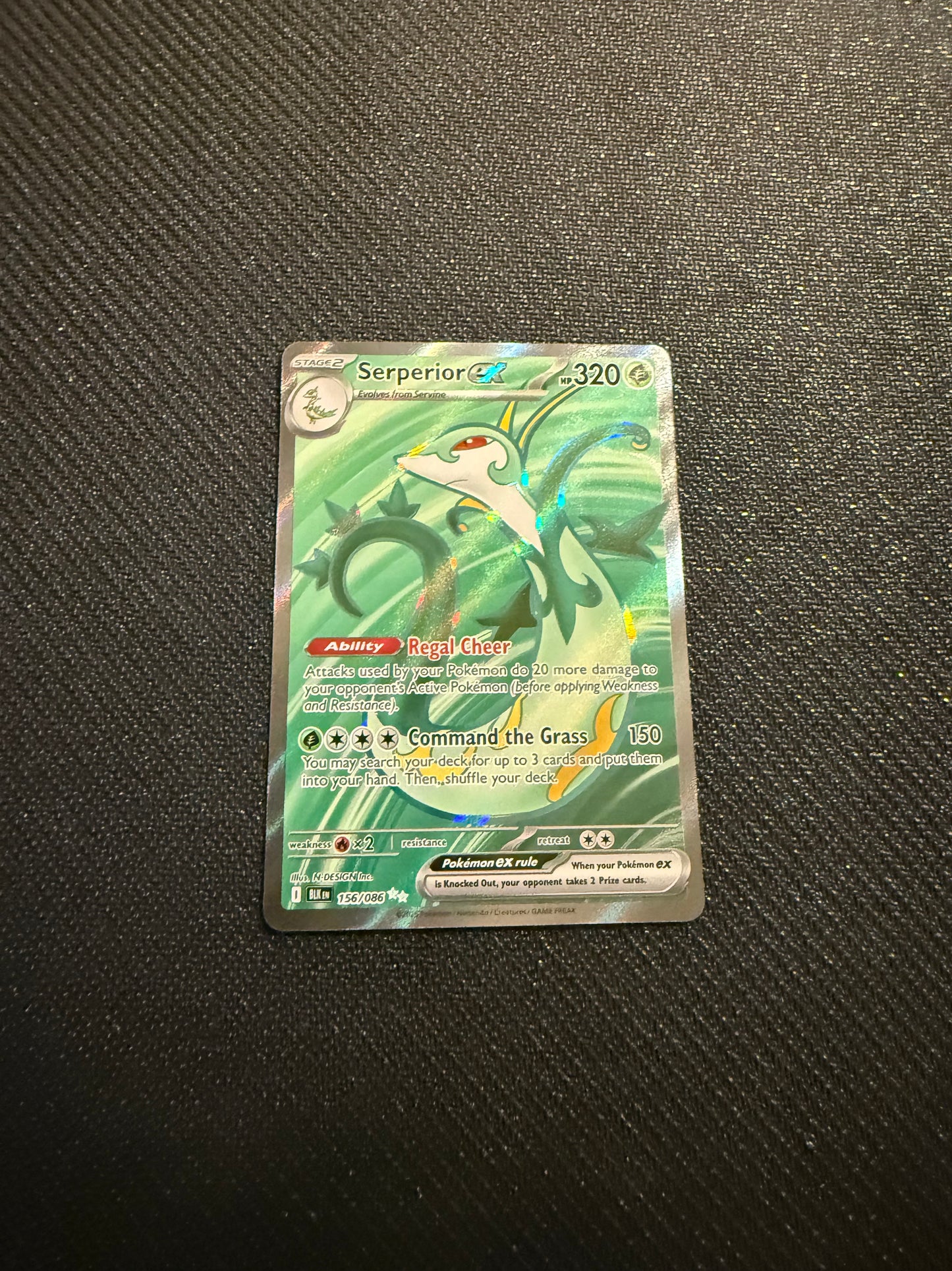 Serpieor ex (Spanish)